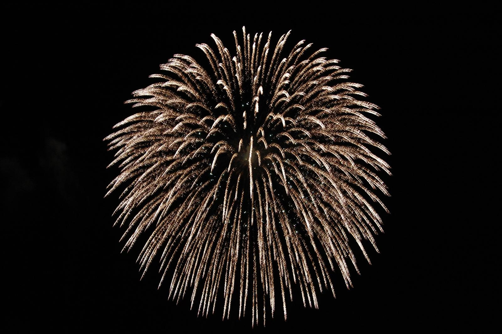 Gott nytt år!